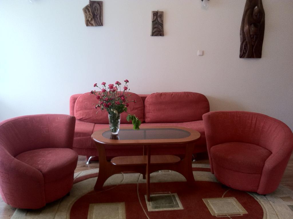 Zakopane - Apartament Z Widokiem Buitenkant foto